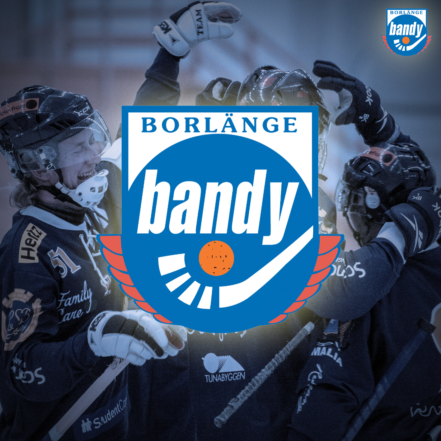 Borlänge Bandy