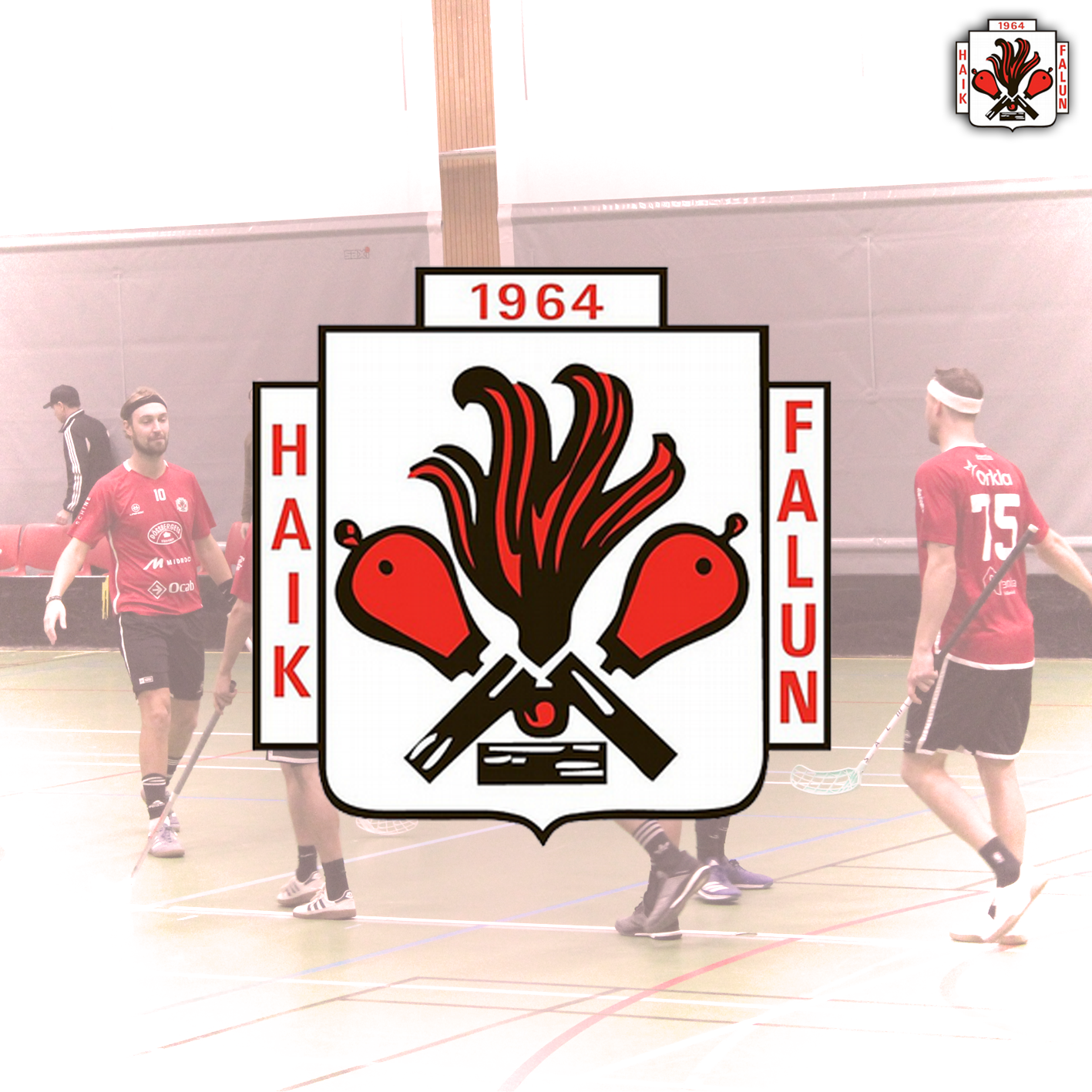 HAIK Innebandy