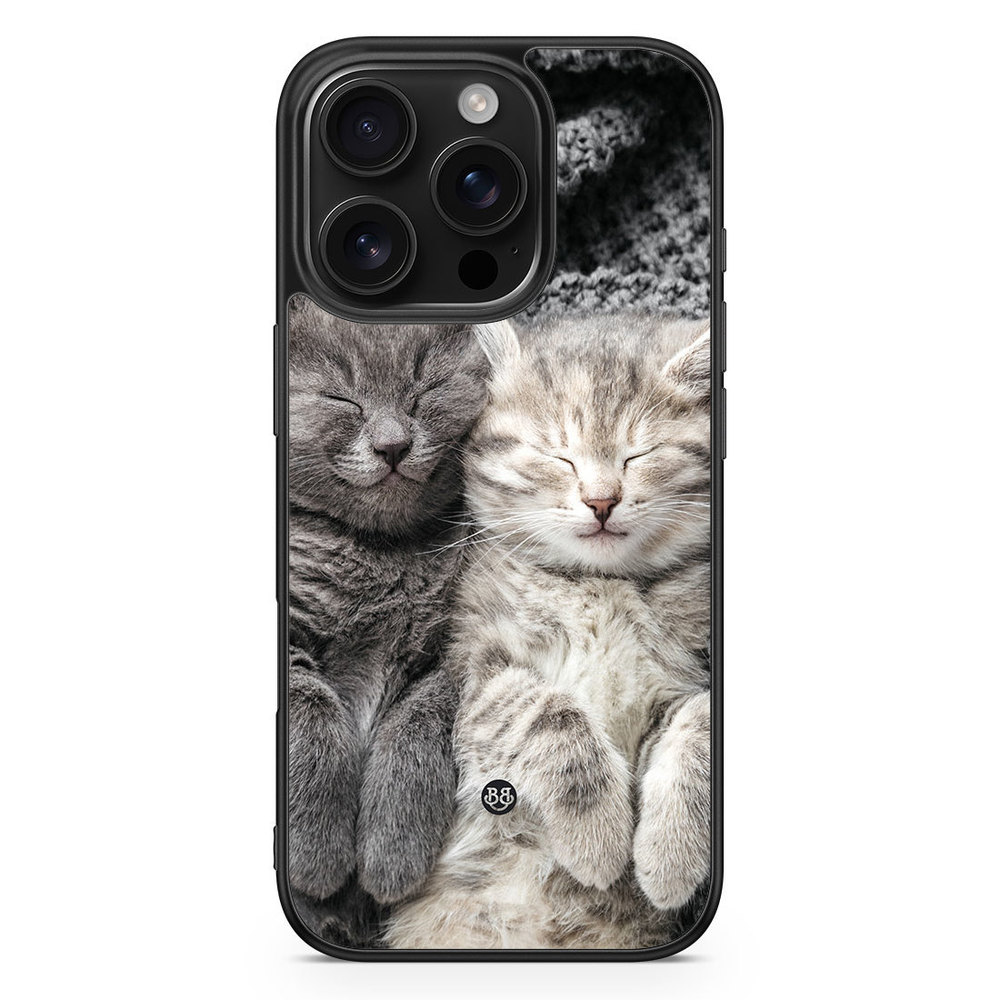 iPhone 16 Pro Case - Resting Cats