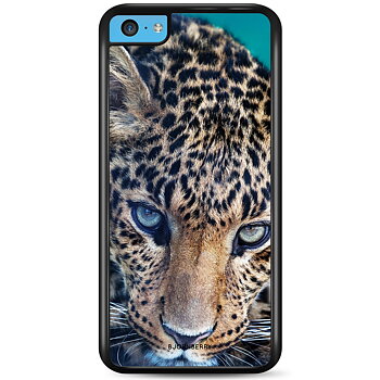 iPhone 5C Case - Leopard Eye