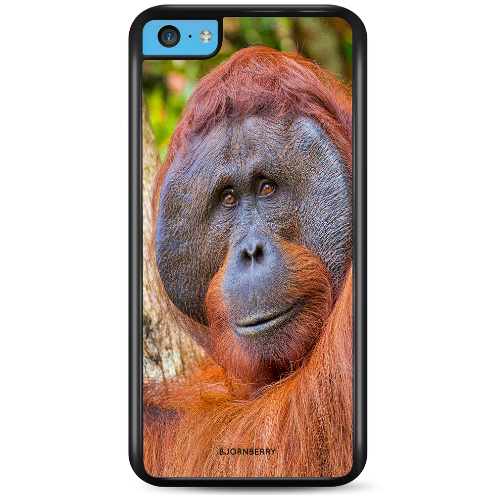 iPhone 5C Case - Orangutan