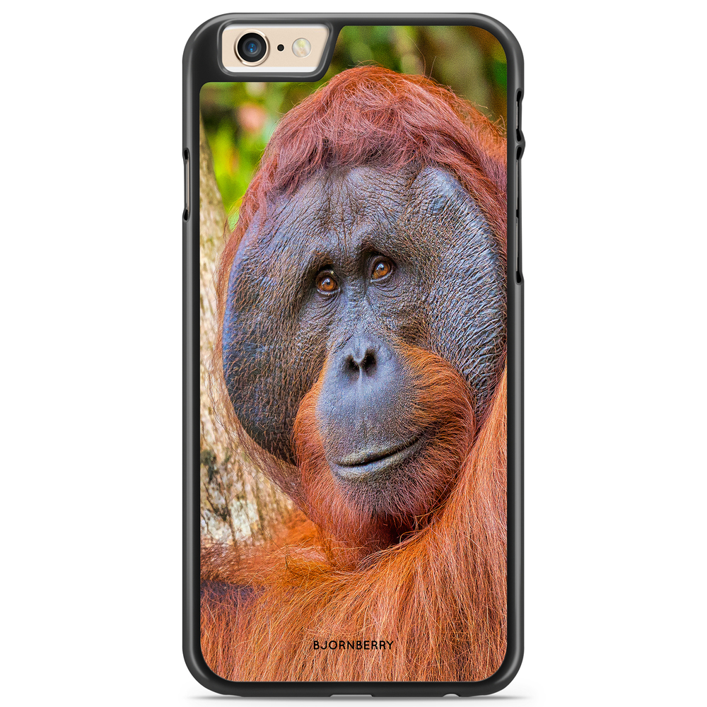 iPhone 6/6s Case - Orangutan