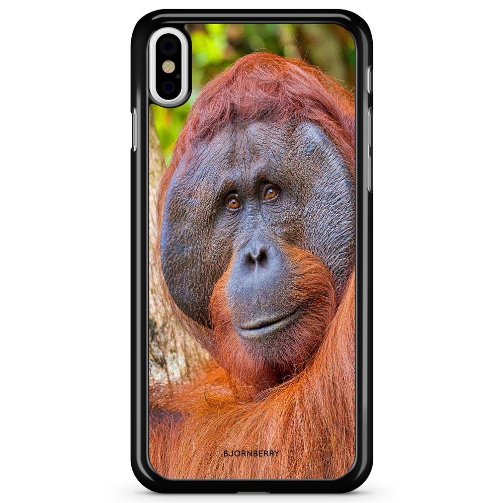 iPhone X / XS Case - Orangutan