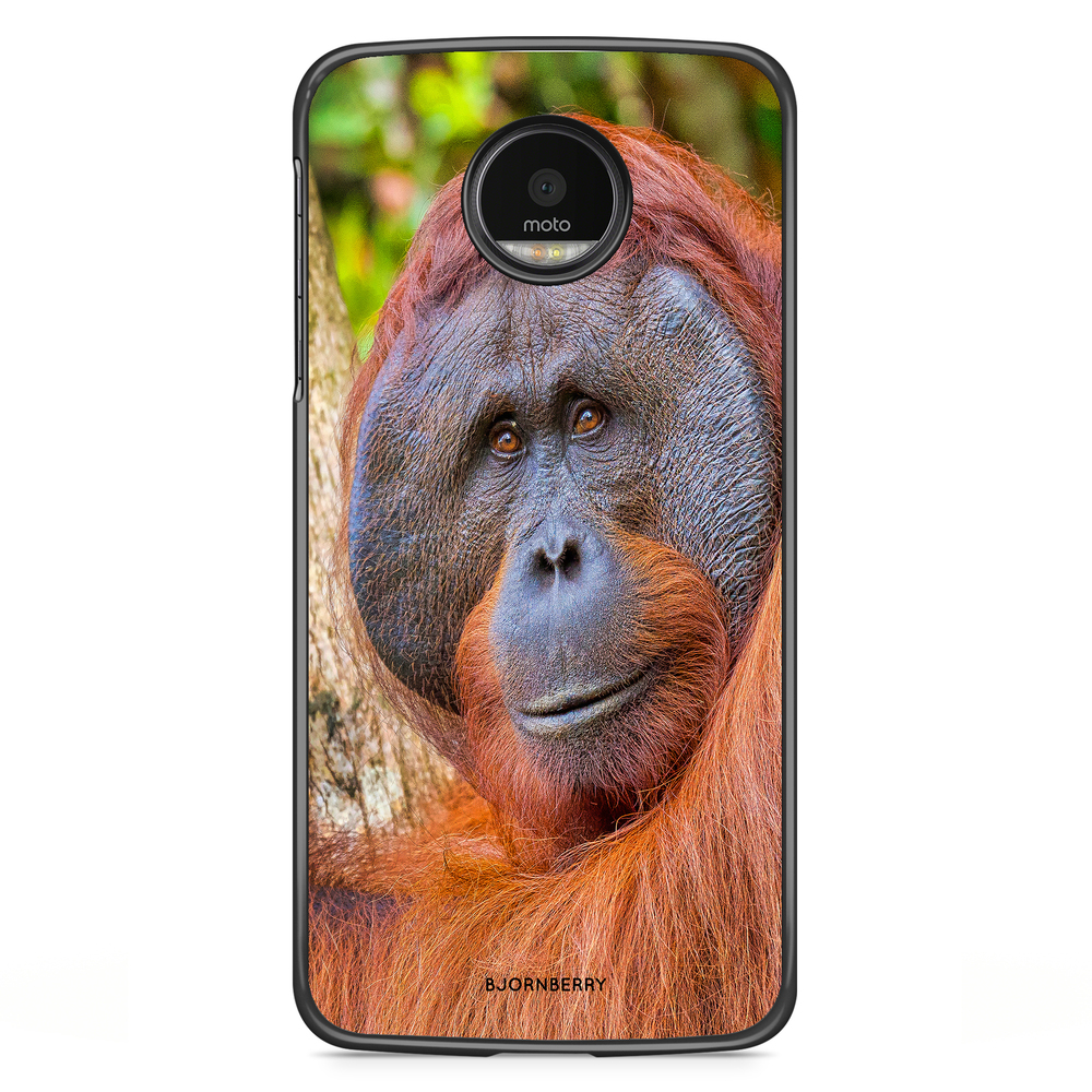 Motorola Moto G5S Plus Skal - Orangutan