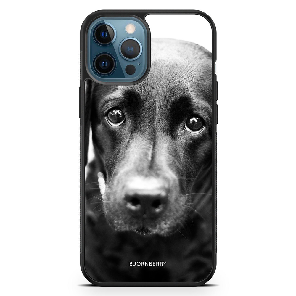iPhone 12 Pro Case - Puppy Eyes