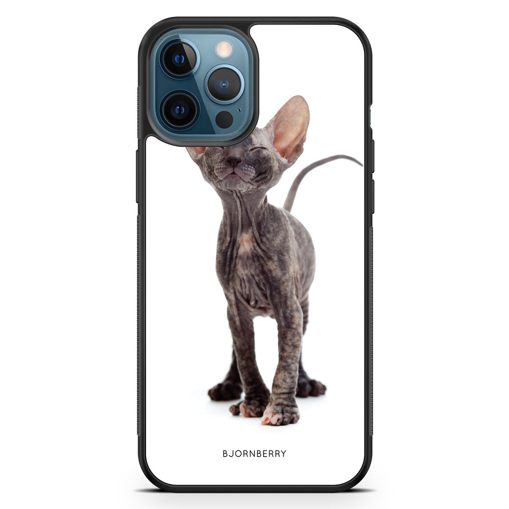 iPhone 12 Pro Case - Hairless Cat