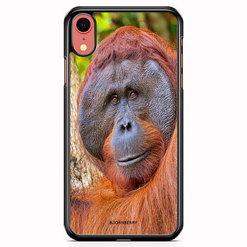 iPhone XR Skal - Orangutan