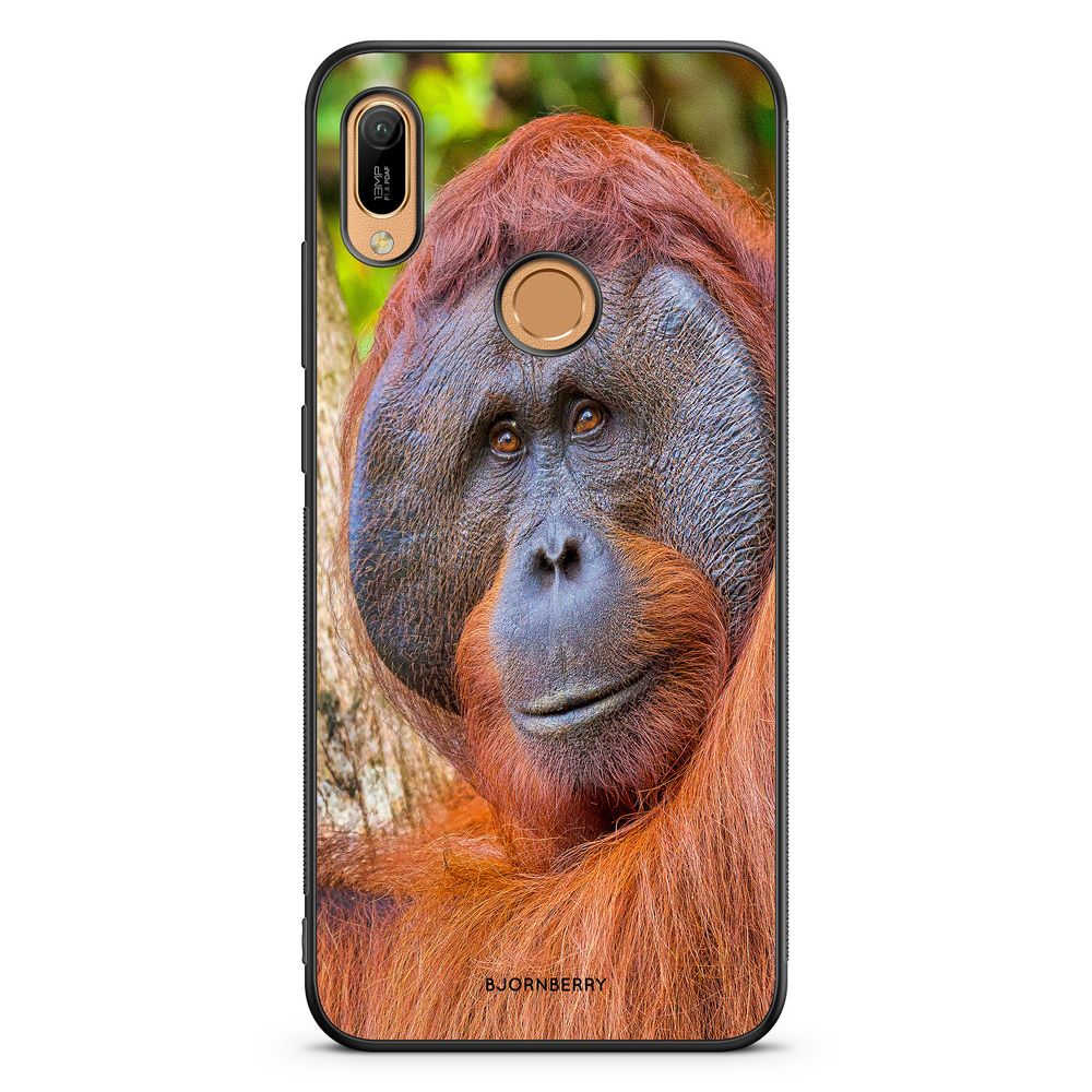 Huawei Y6 2019 Case - Orangutan