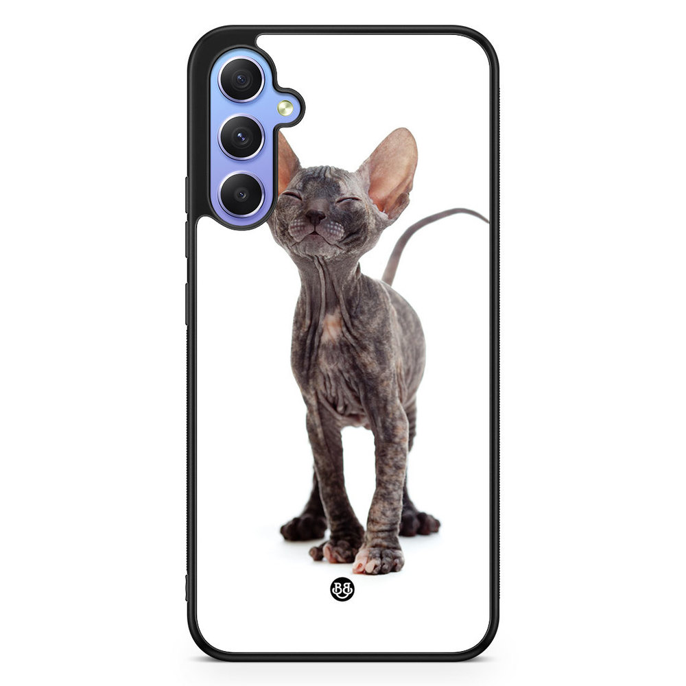 Samsung Galaxy A34 5G Case - Hairless Cat