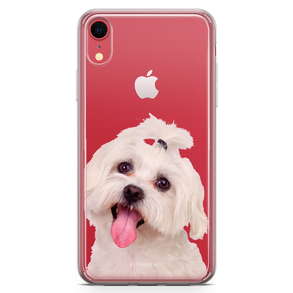 iPhone XR Fashion Skal - Bichon Frisé