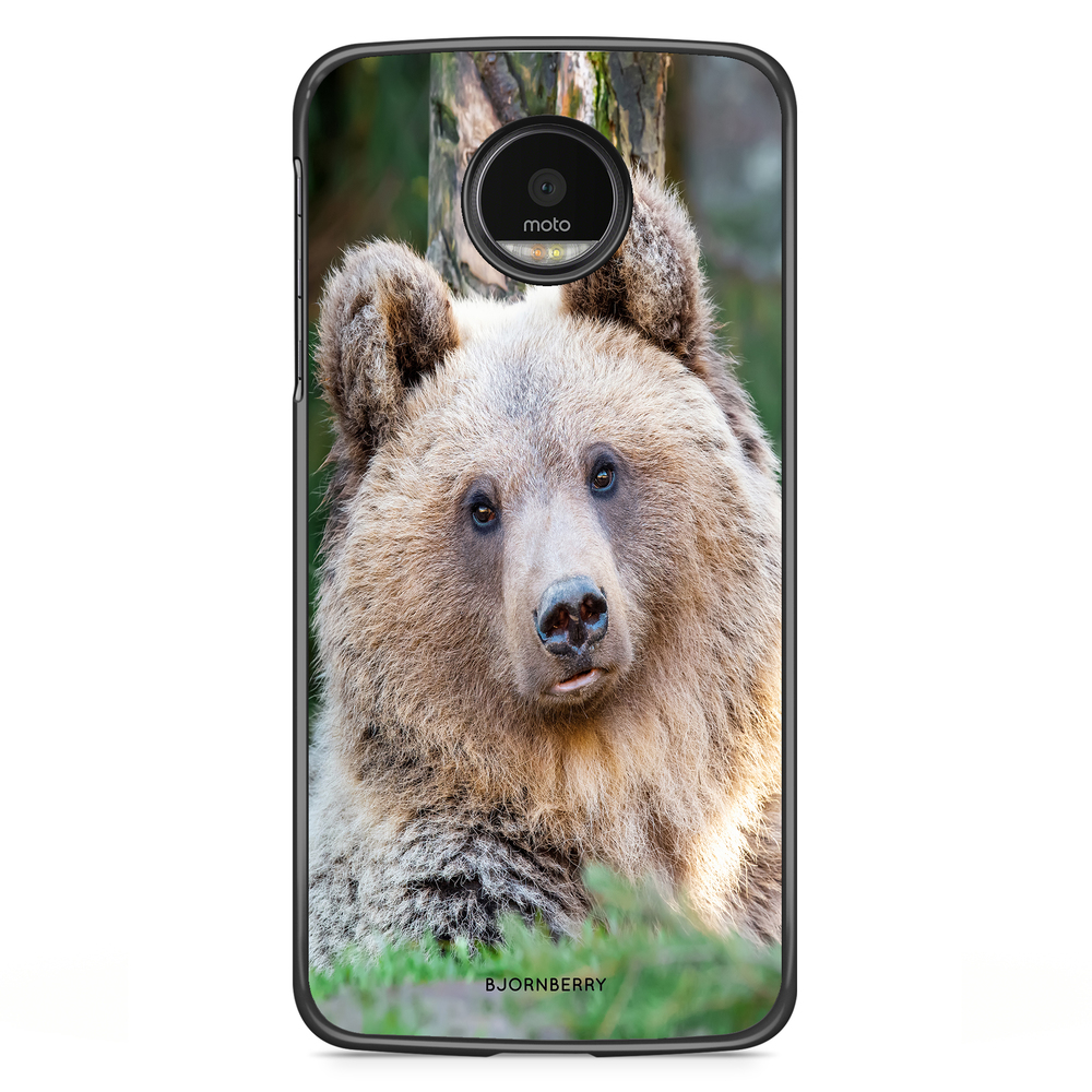 Motorola Moto G5S Plus Case - Cute Bear
