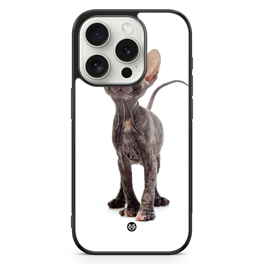 iPhone 15 Pro Case - Hairless Cat
