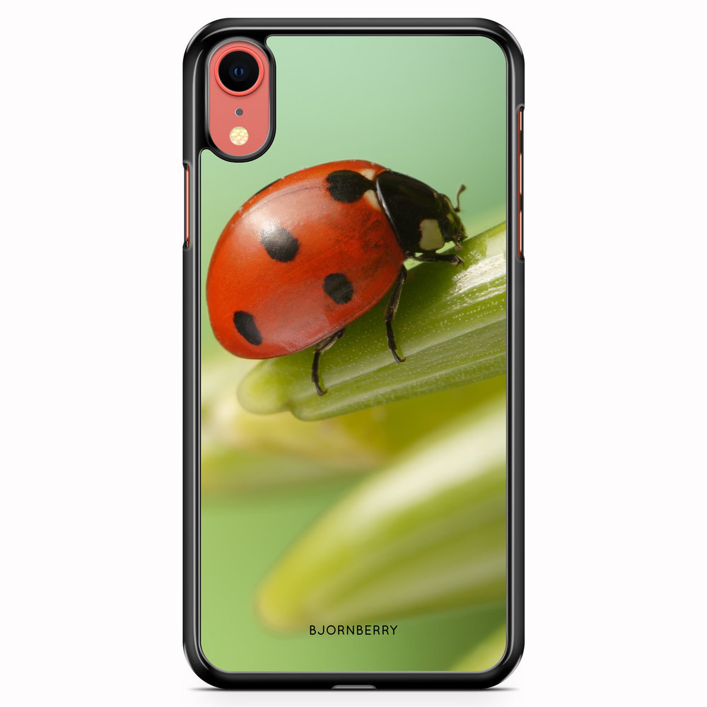 iPhone XR Case - Ladybug
