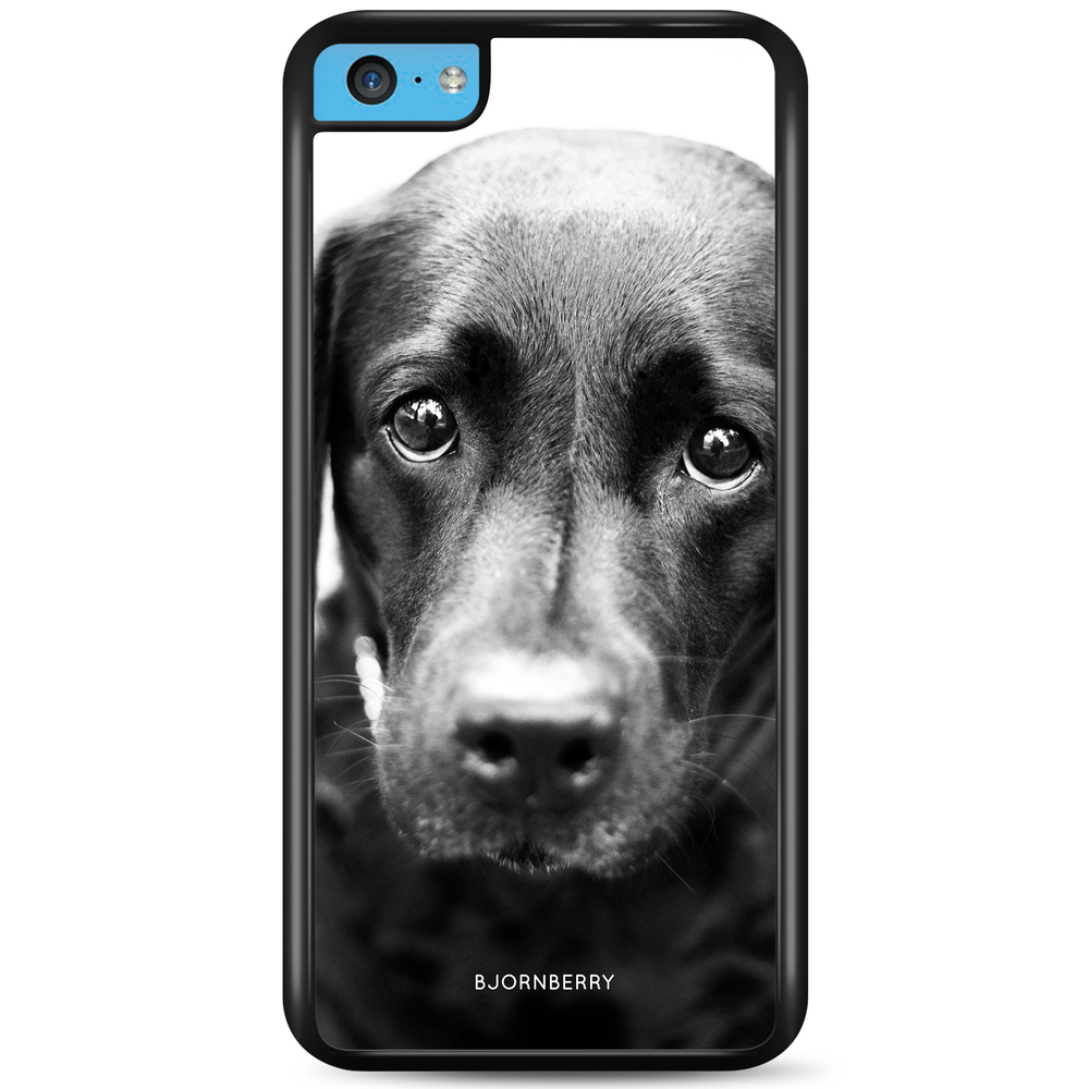 iPhone 5C Case - Puppy Eyes