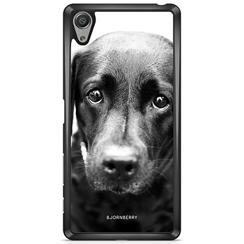 Sony Xperia XA Case - Puppy Eyes