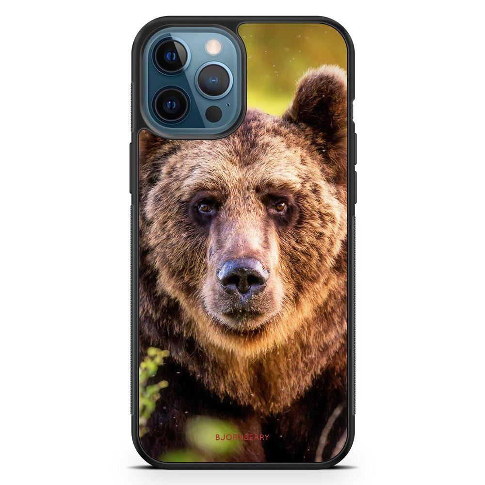 iPhone 12 Pro Case - Looking Bear
