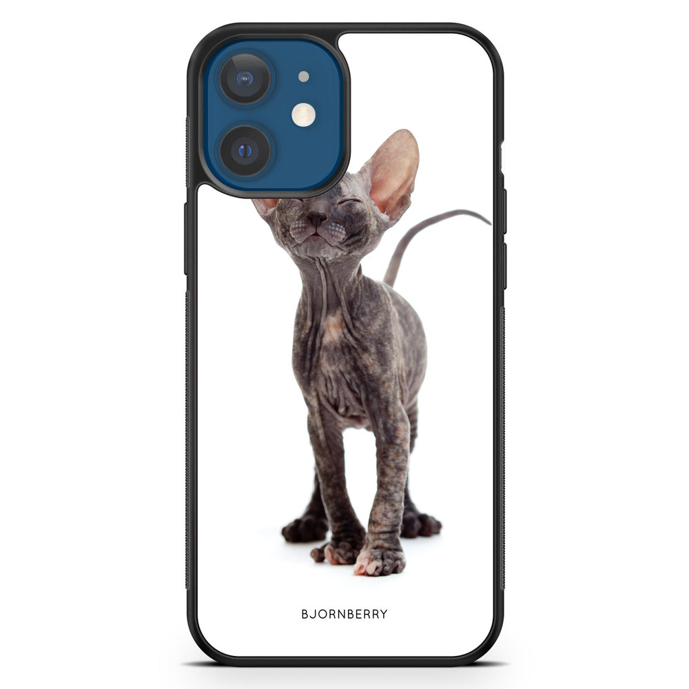 iPhone 12 Case - Hairless Cat