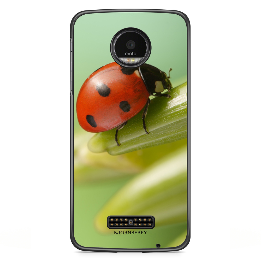 Motorola Moto Z Case - Ladybug