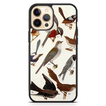 iPhone 12 Pro Max Skal - Fåglar