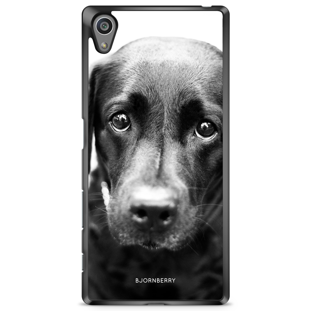Sony Xperia Z5 Premium Case - Puppy Eyes