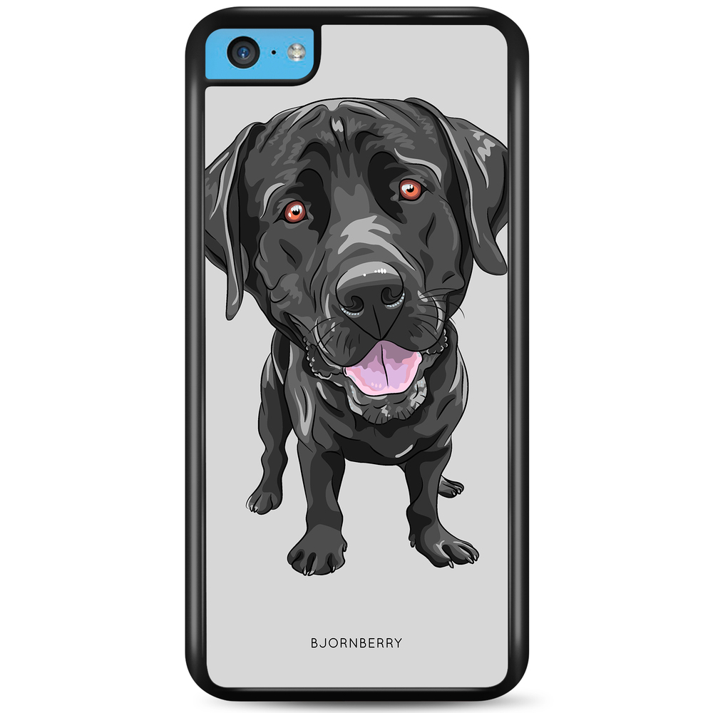 iPhone 5C Case - Labrador