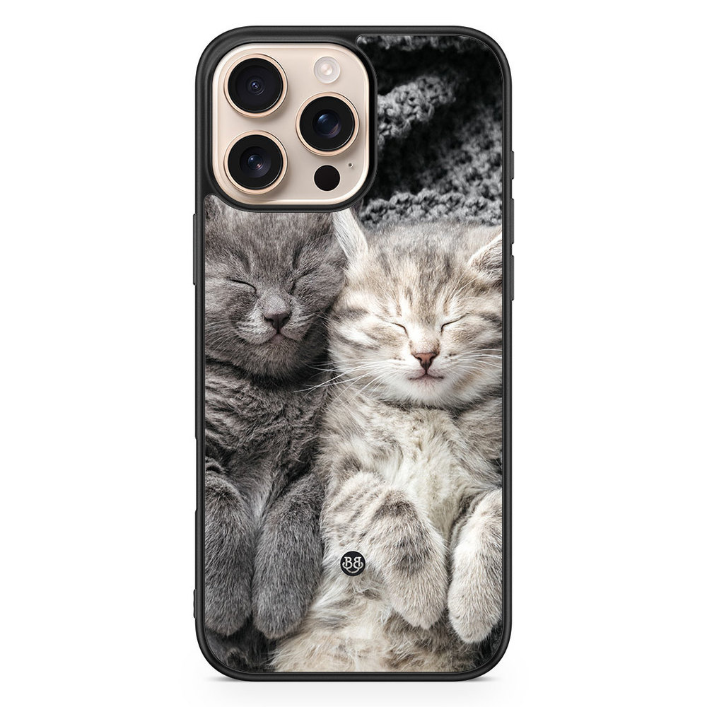 iPhone 16 Pro Max Skal - Vilande Katter