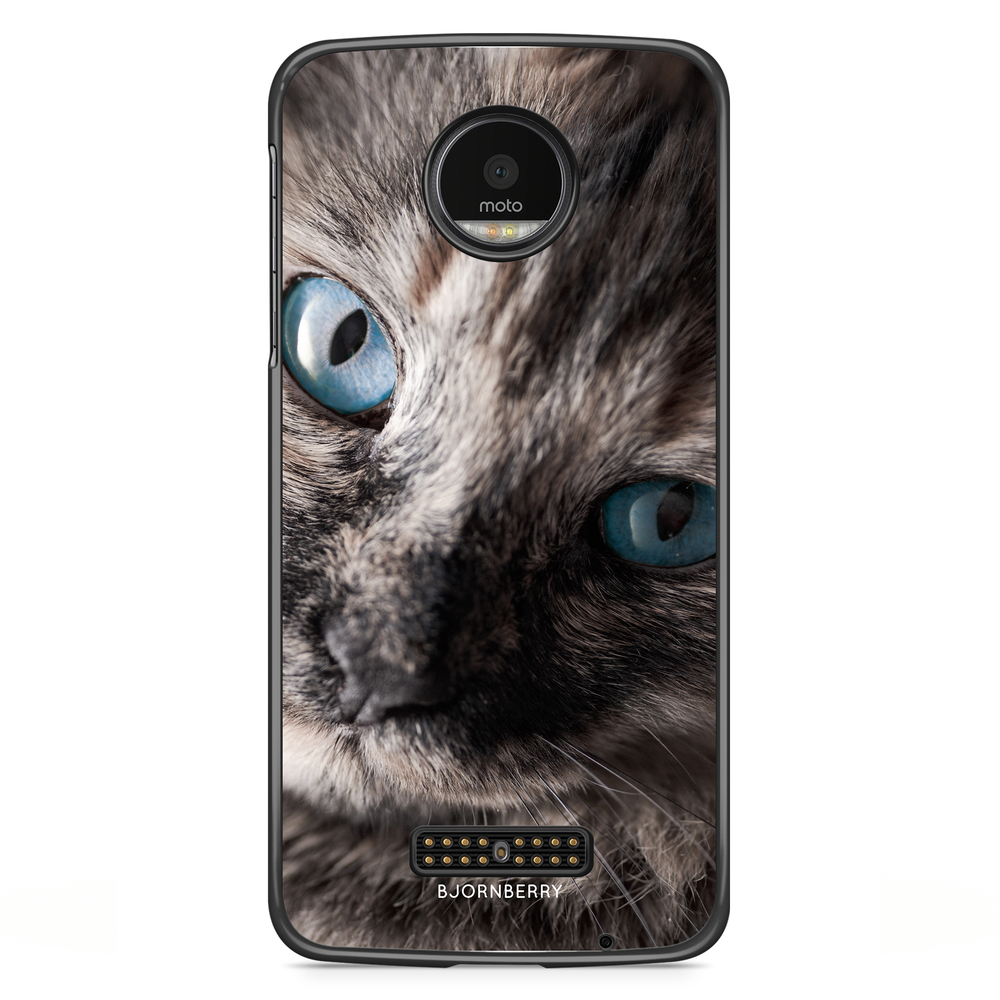 Motorola Moto Z Case - Cat Blue Eyes