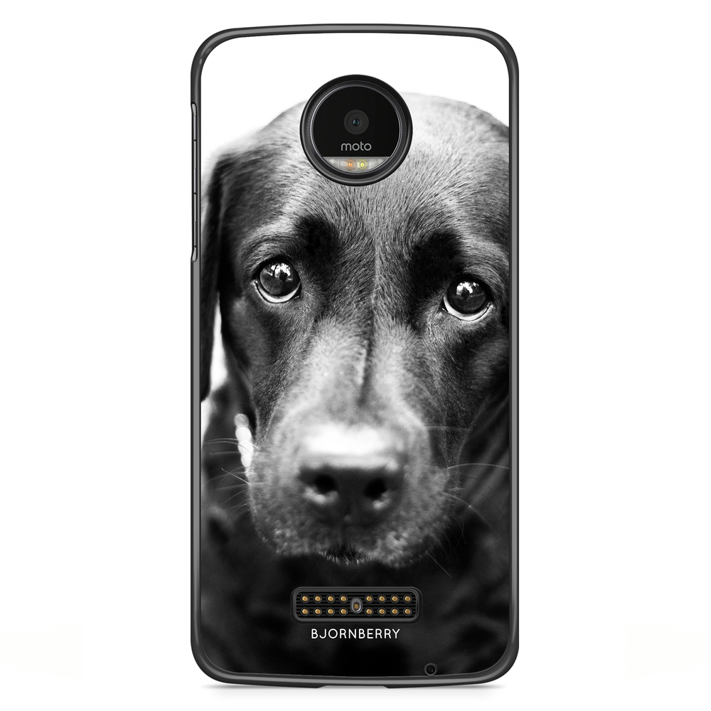 Motorola Moto Z Case - Puppy Eyes
