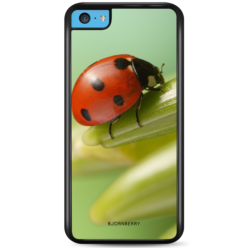 iPhone 5C Case - Ladybug