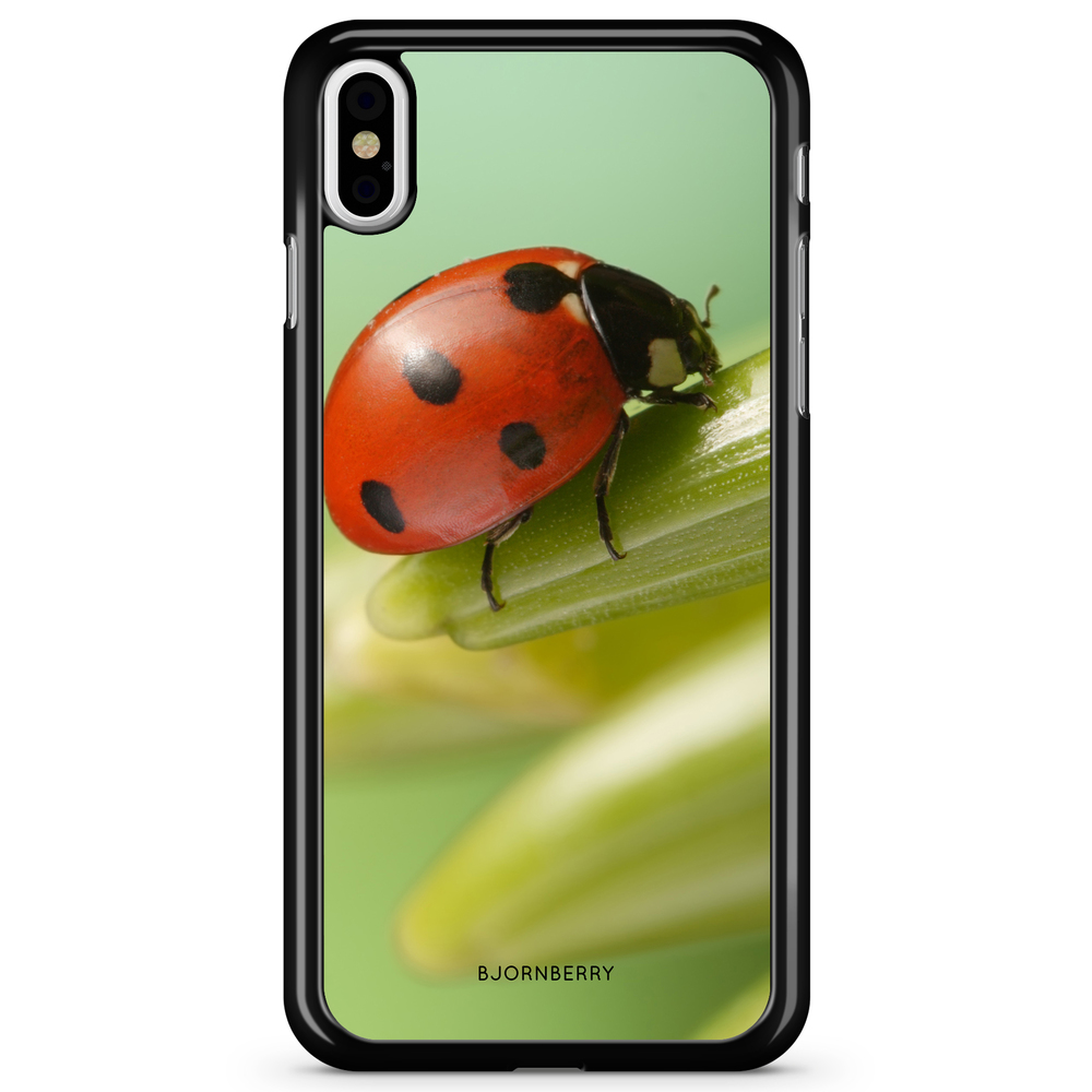 iPhone X / XS Case - Ladybug