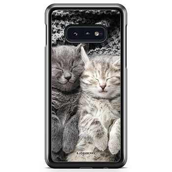 Samsung Galaxy S10e Case - Cats Rest