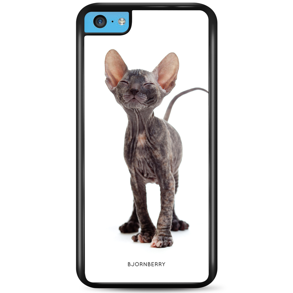 iPhone 5C Case - Hairless Cat