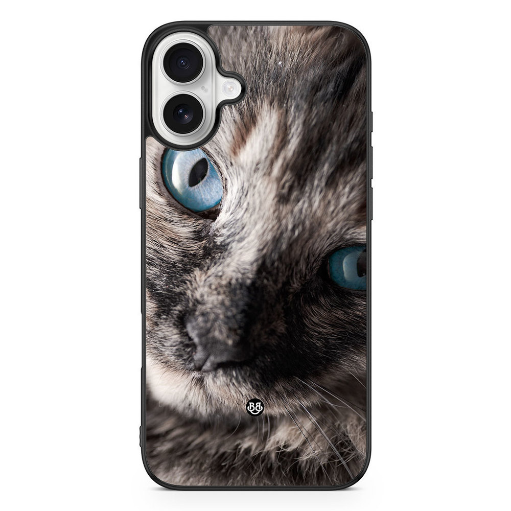 iPhone 16 Plus Case - Cat Blue Eyes