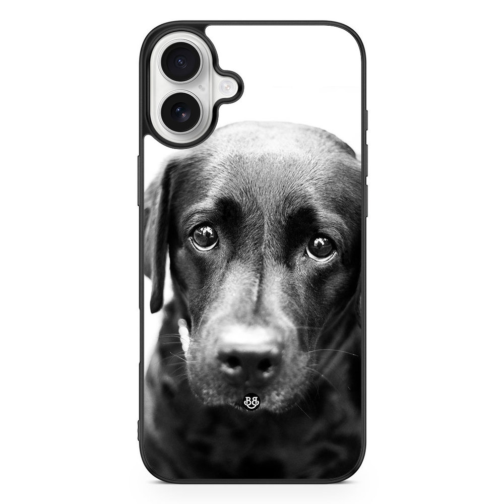 iPhone 16 Plus Case - Puppy eyes