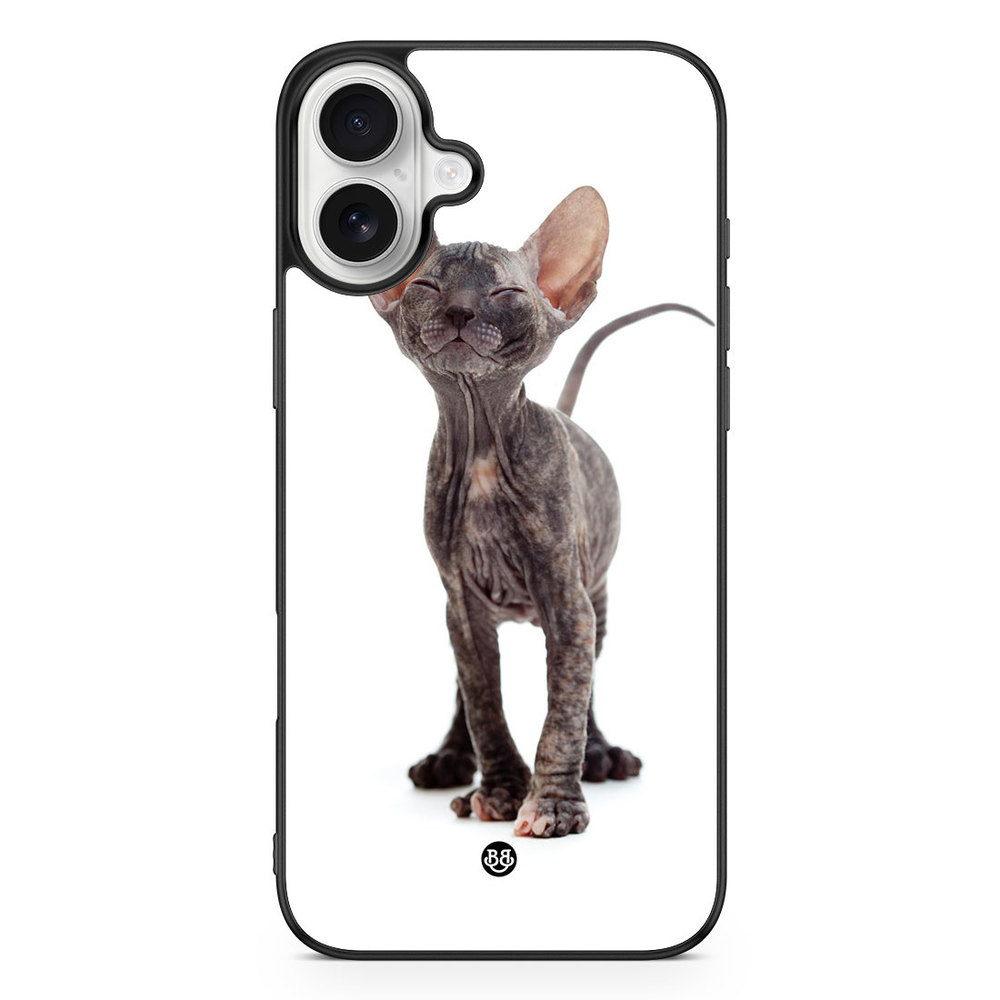 iPhone 16 Plus Case - Hairless Cat