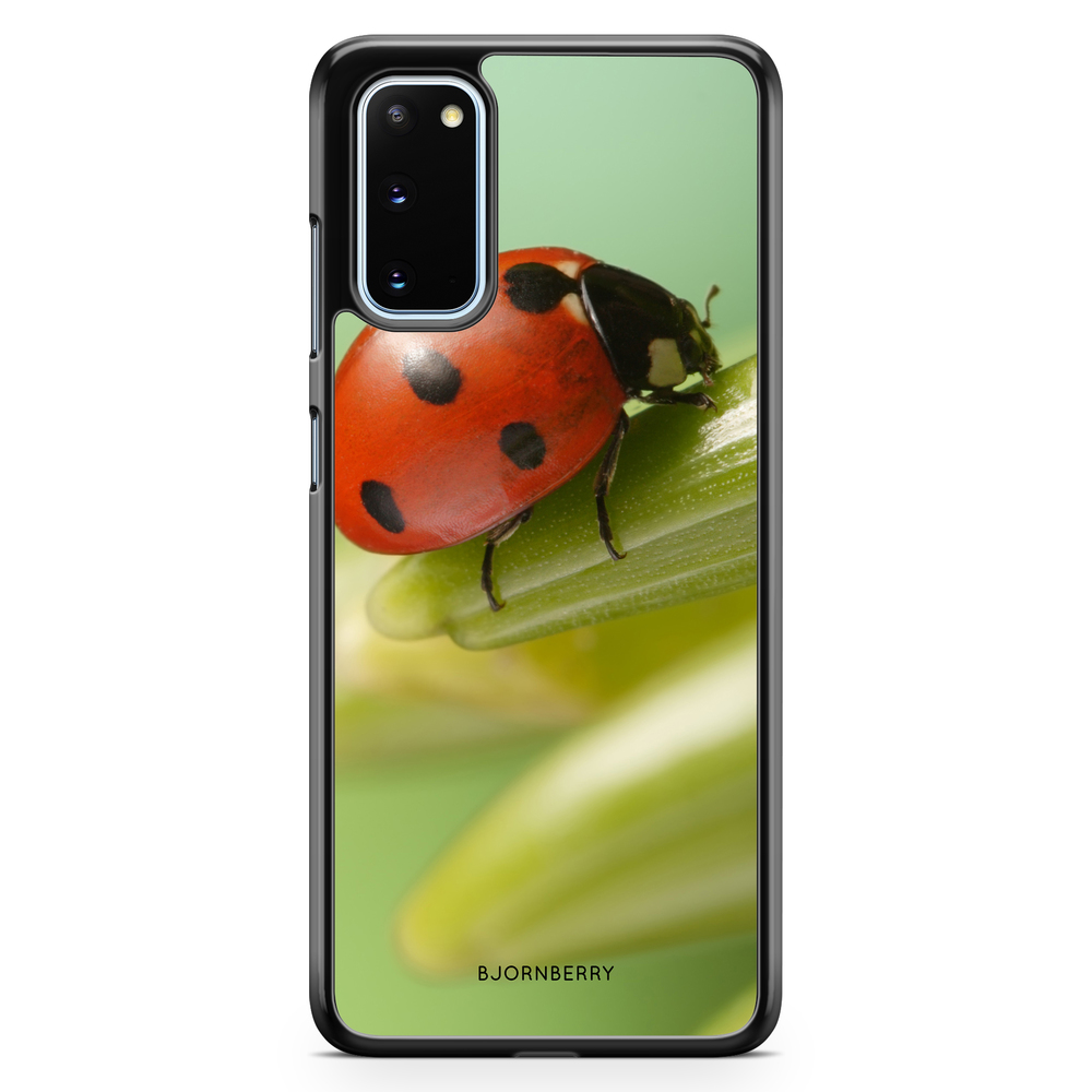 Samsung Galaxy S20 Case - Ladybug