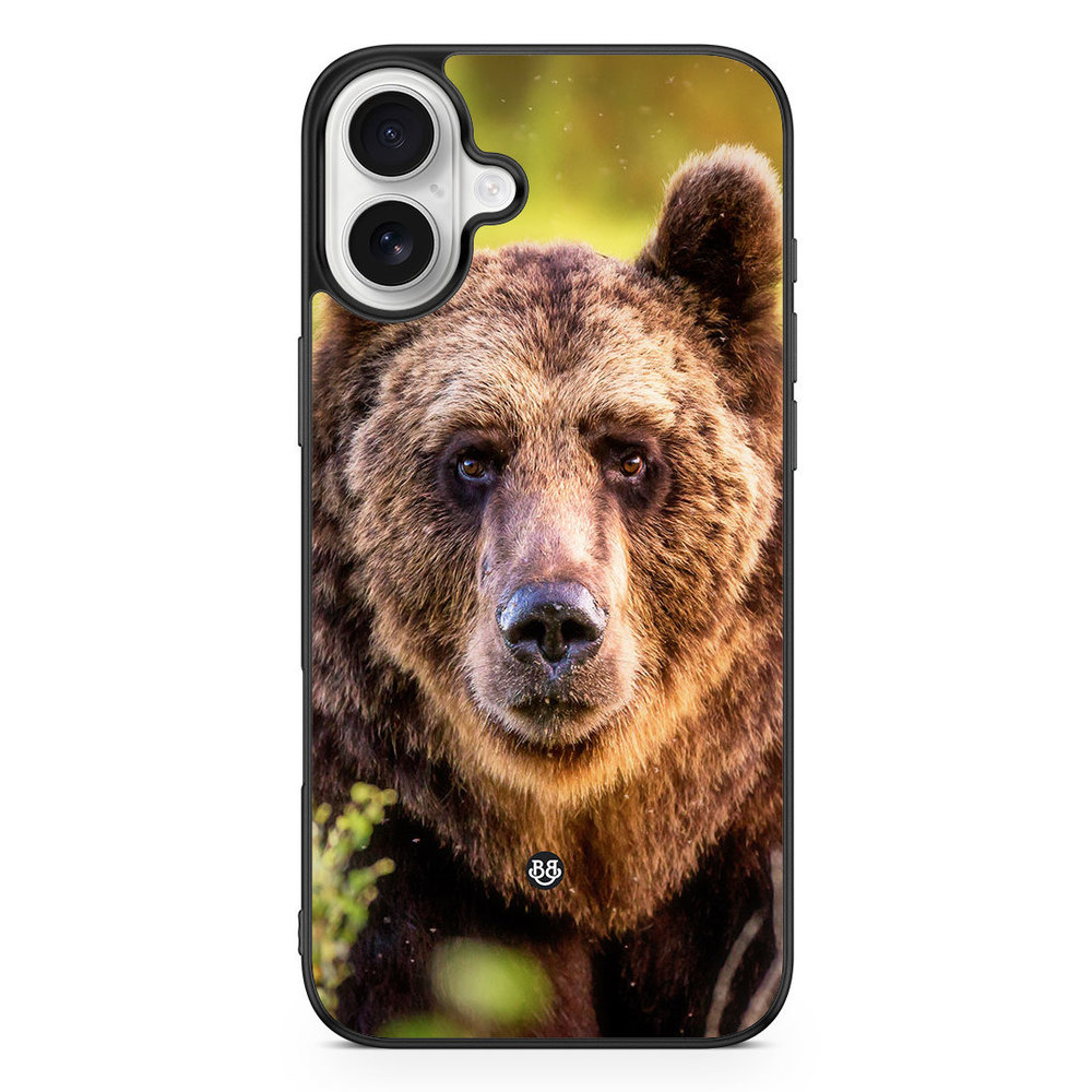 iPhone 16 Plus Case - Looking Bear