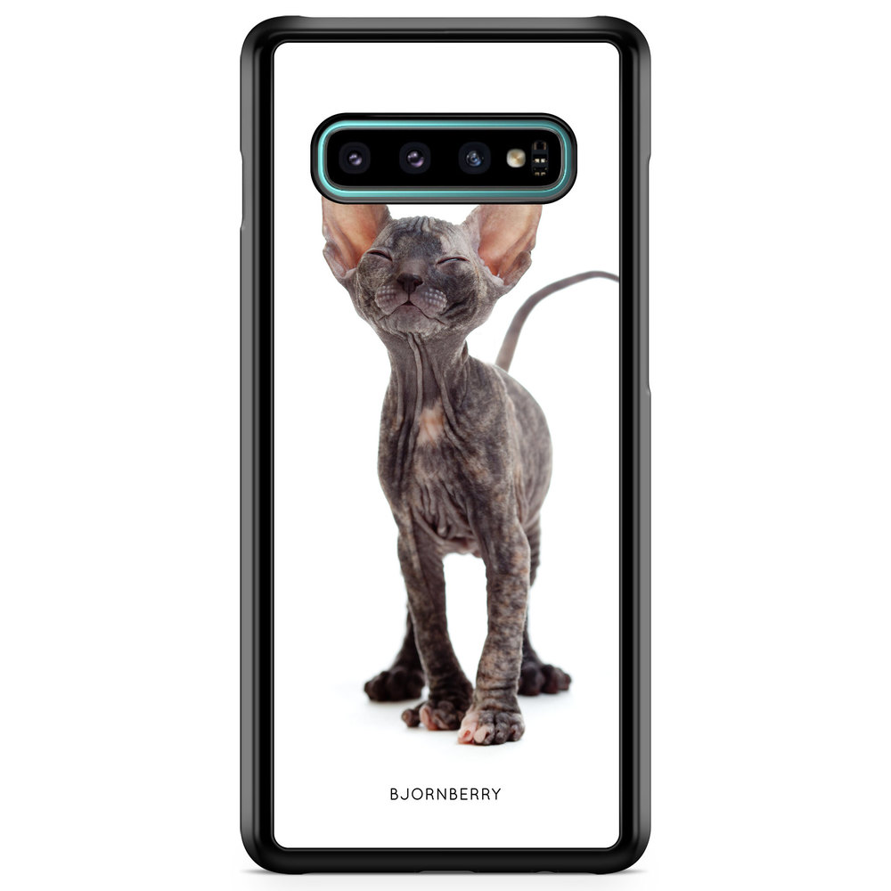 Samsung Galaxy S10 Plus Case - Hairless Cat