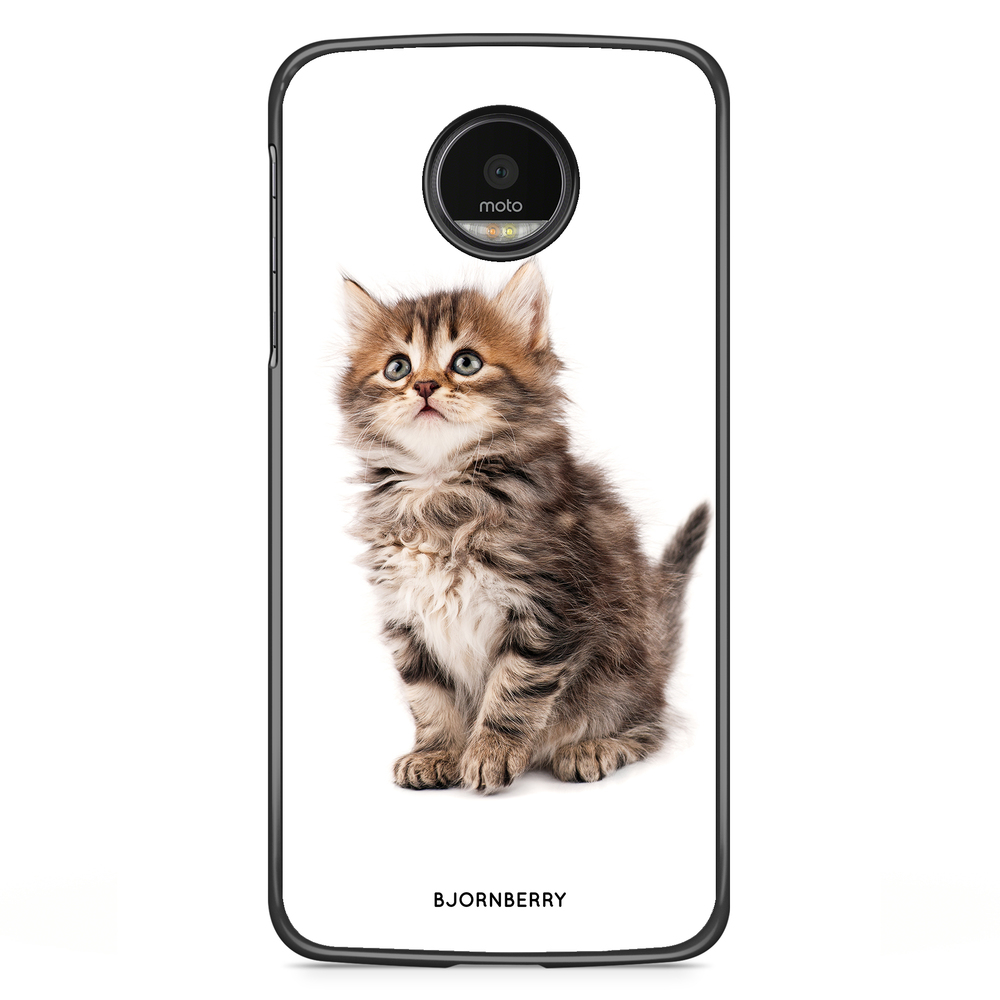 Motorola Moto G5S Plus Case - Cute Kitten