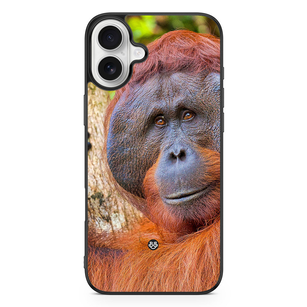 iPhone 16 Plus Case - Orangutan