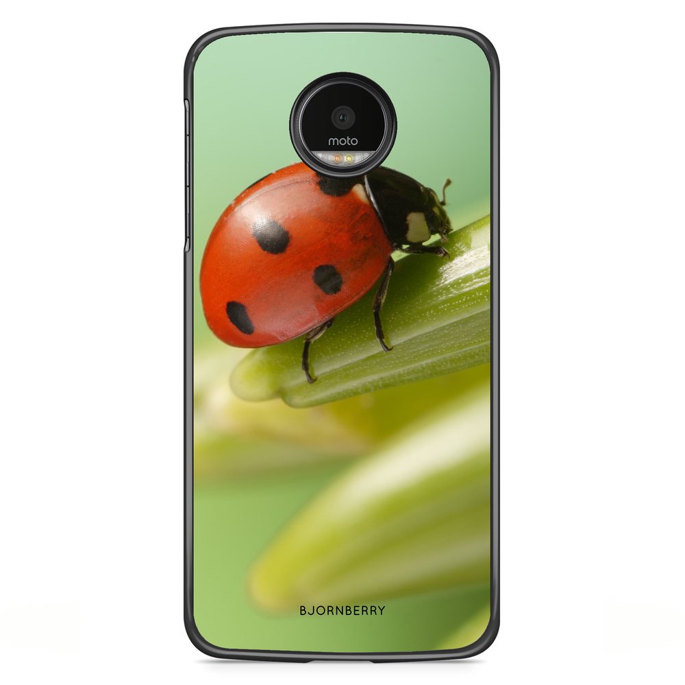 Motorola Moto G5S Plus Case - Ladybug