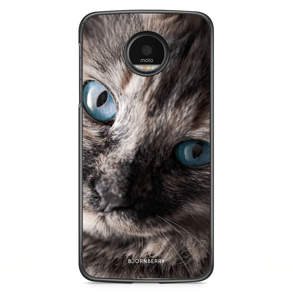 Motorola Moto G5S Plus Case - Cat Blue Eyes