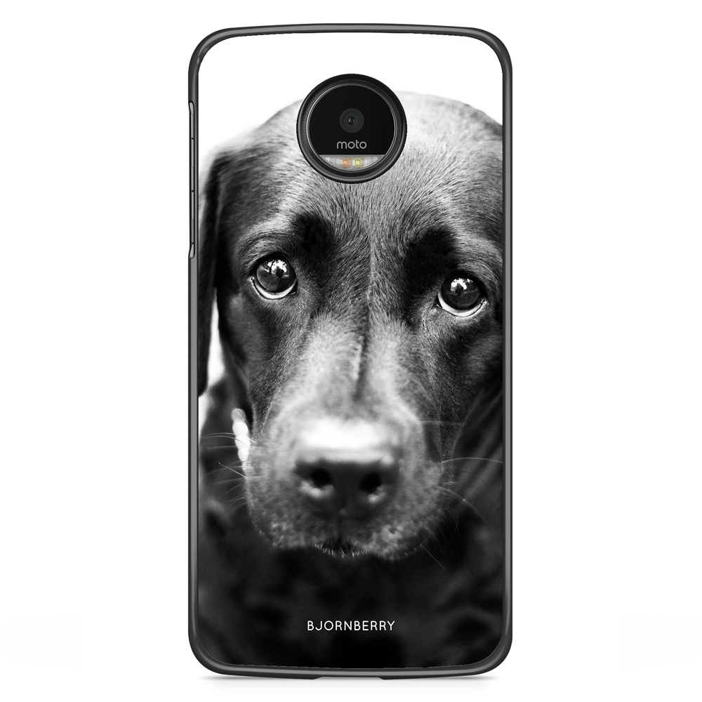 Motorola Moto G5S Plus Case - Puppy Eyes
