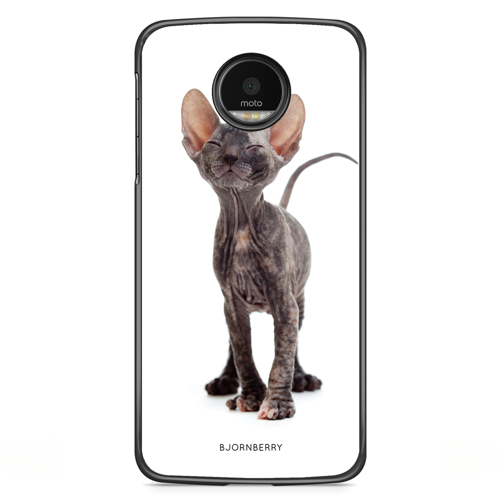Motorola Moto G5S Plus Case - Hairless Cat