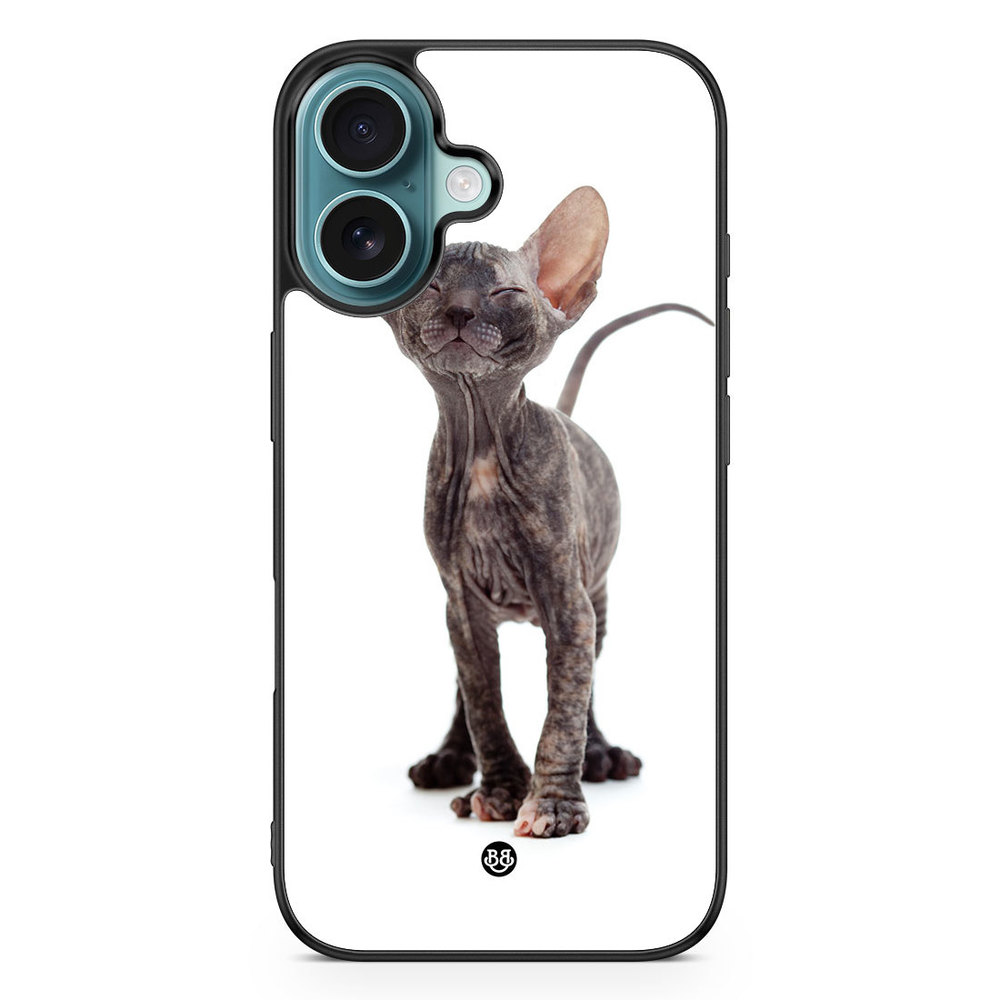 iPhone 16 Case - Hairless Cat
