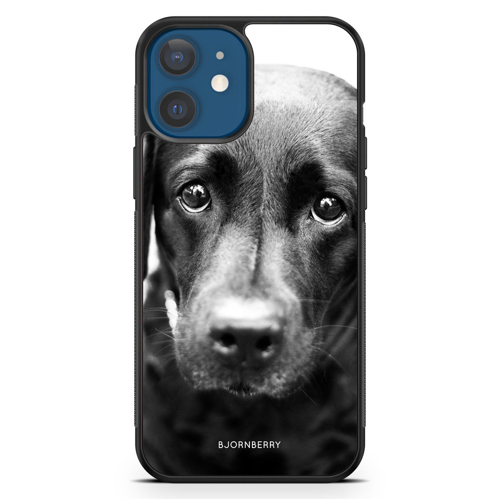 iPhone 12 Mini Case - Puppy Eyes