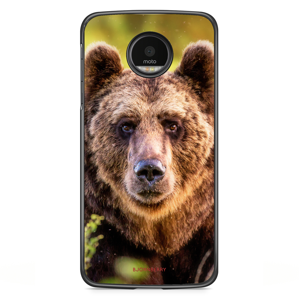 Motorola Moto G5S Plus Case - Looking Bear