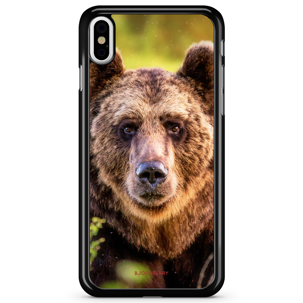 iPhone X / XS Case - Looking Bear