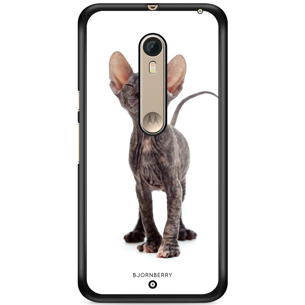 Moto X Style Case - Hairless Cat