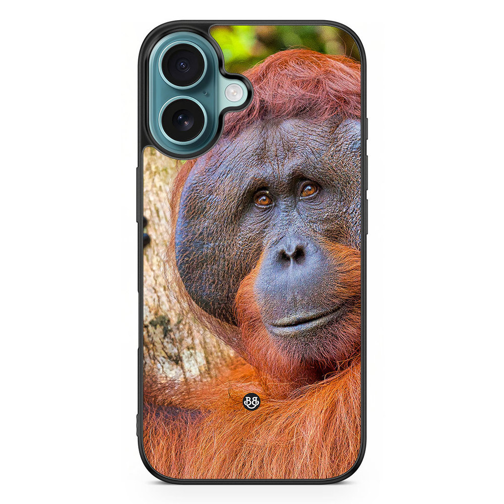 iPhone 16 Case - Orangutan